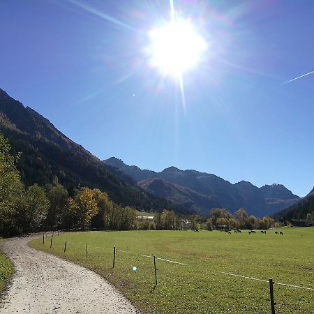 Ferienwohnung Ferienwohungen Wedl Kleinarl Exterior foto